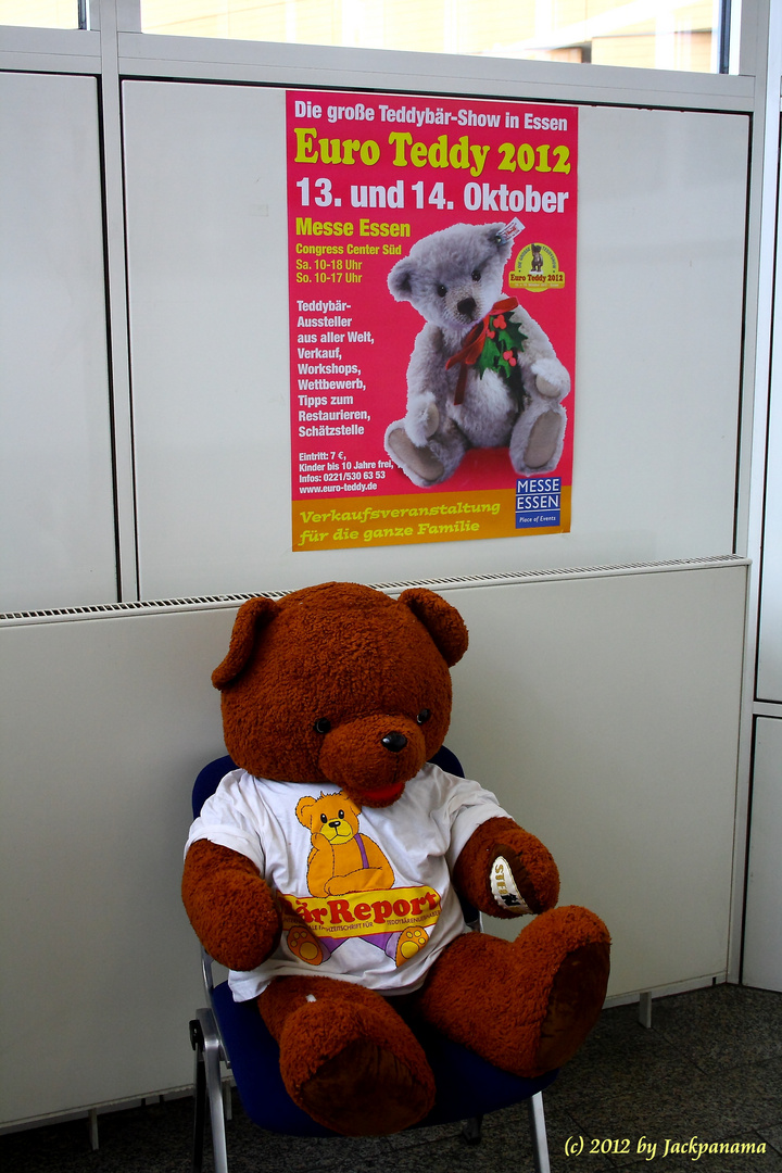 Zu Besuch auf der Euro Teddy 2012 in Essen (6)
