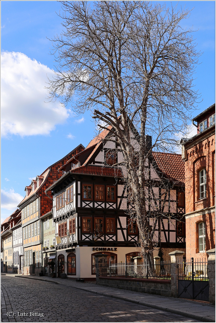 Zu Besuch bei Martha Schmalz in Quedlinburg