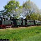 Zu Besuch beim Deutschen Eisenbahn Verein 11