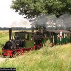 Zu Besuch beim Deutschen Eisenbahn Verein 6