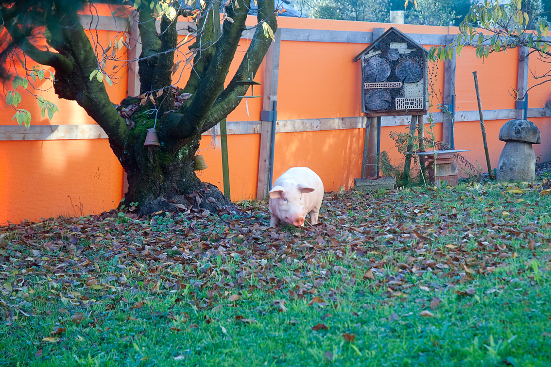 zu Besuch beim Schwiegervater