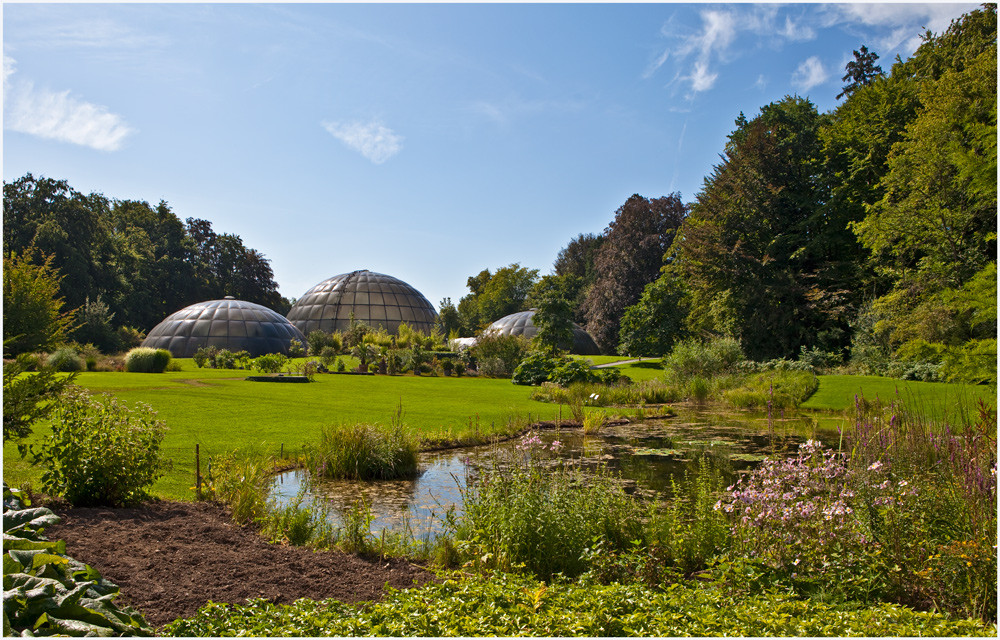 Zu Besuch im Botansichen Garten Zürich am 17. Aug. 2009
