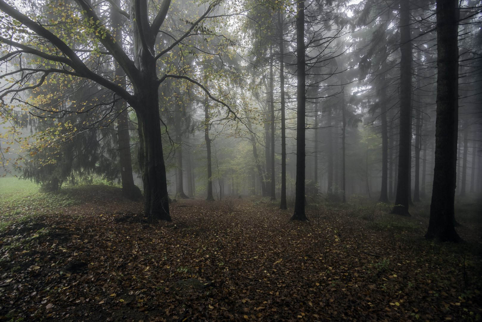 zu besuch im......... *** Foto & Bild | deutschland, europe, sachsen
