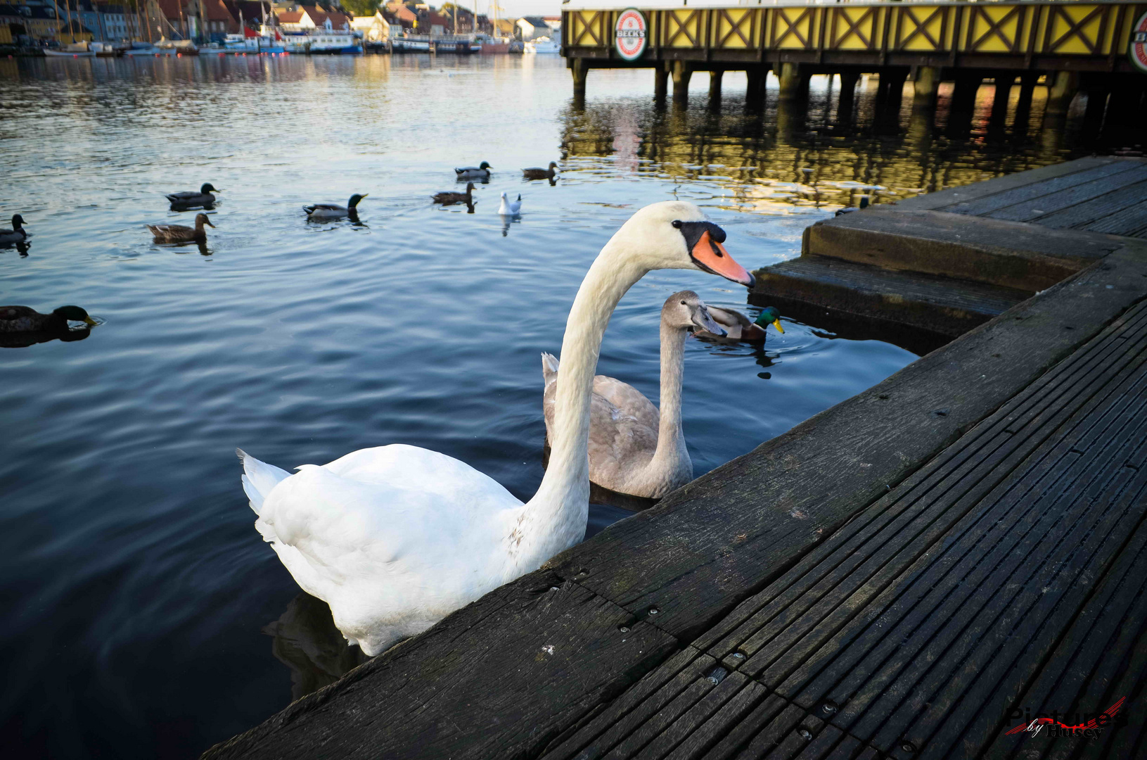 ...zu besuch, im hafen...