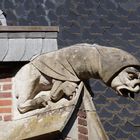 Zu Besuch im Kasteel de Haar