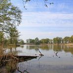 Zu Besuch im Landschaftspark Großkühnau