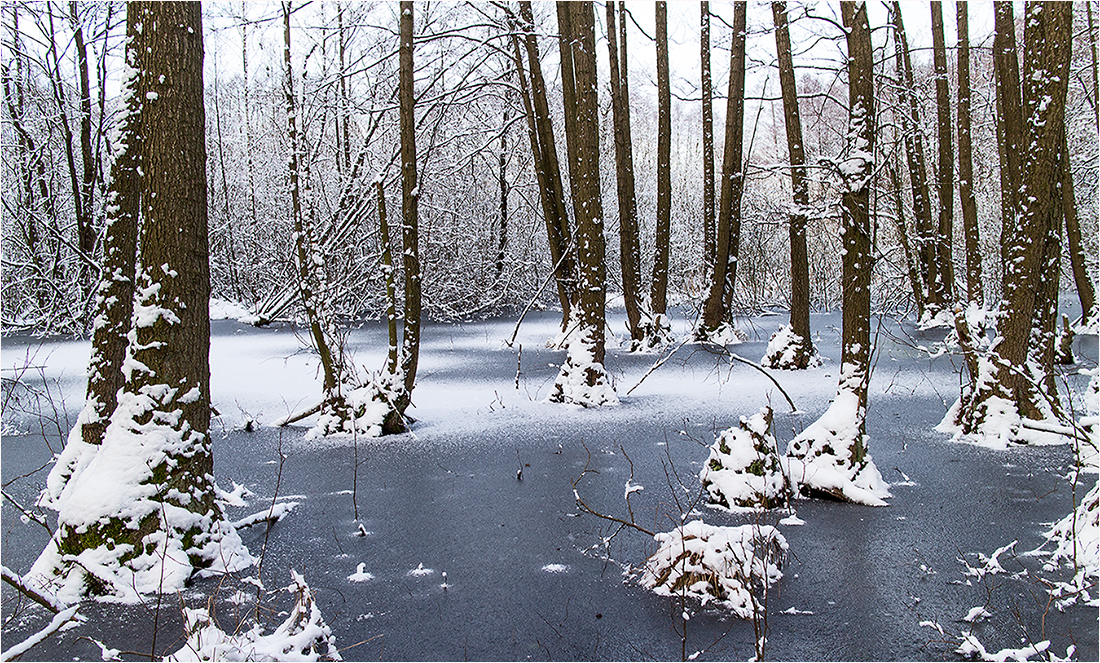 Zu Besuch im Sibirien …