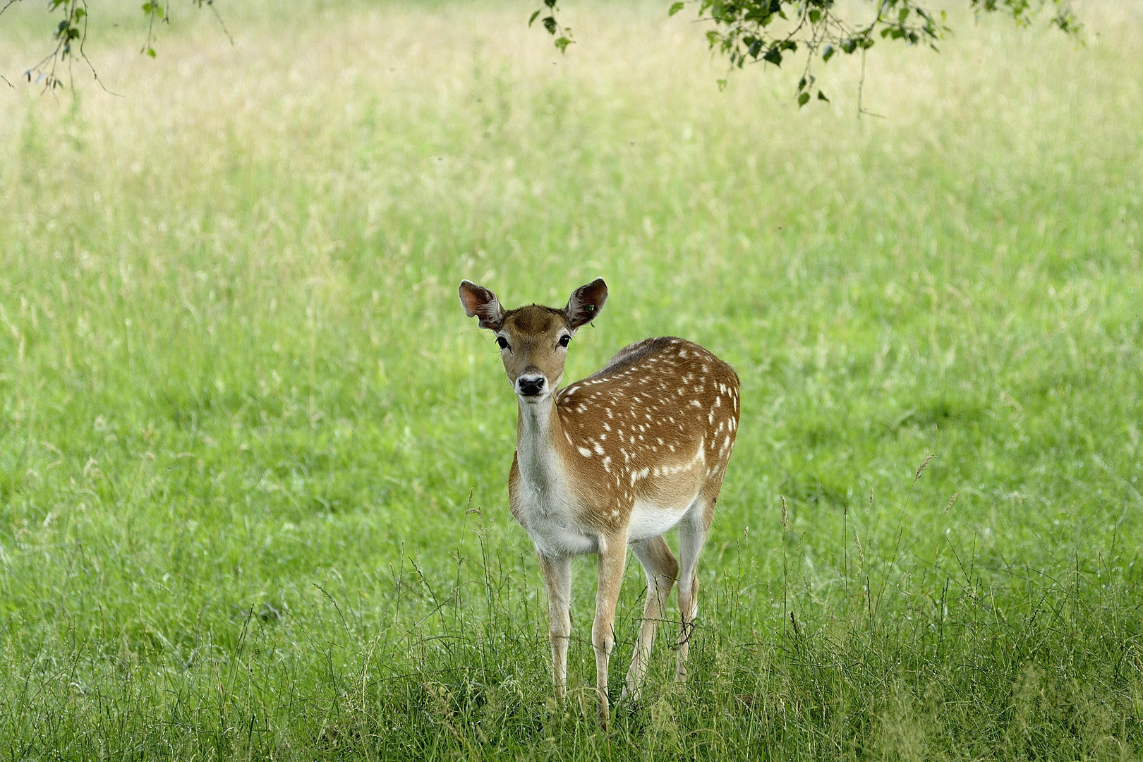 Zu Besuch im Tiergarten Bielefeld