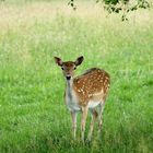 Zu Besuch im Tiergarten Bielefeld