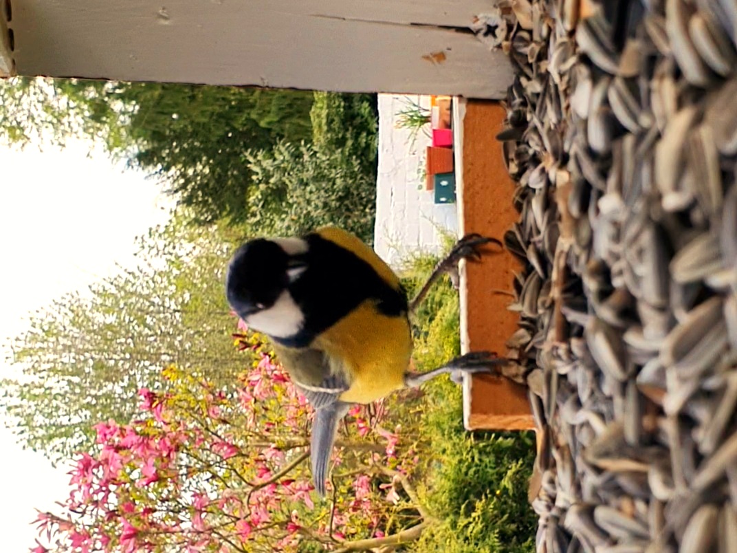 Zu Besuch im Vogelhaus