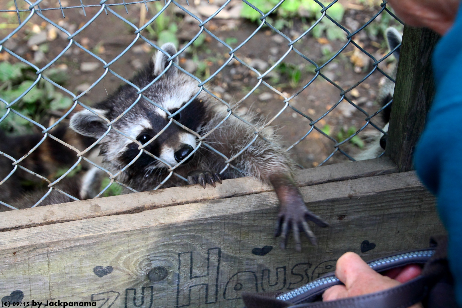 Zu Besuch im Wildpark Bilsteintal b. Warstein