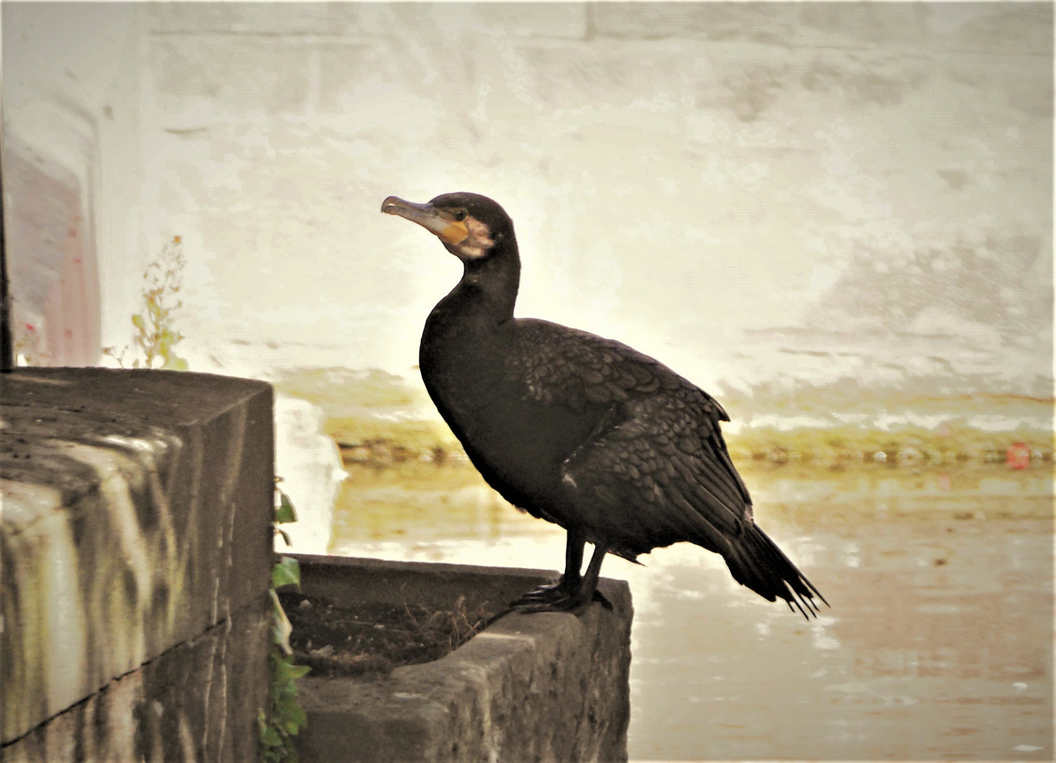 Zu Besuch in der Stadt