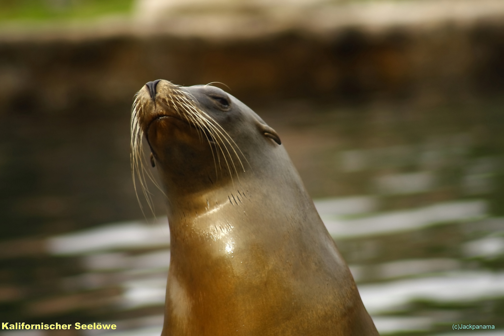 zu Besuch in der ZOOM Erlebniswelt, dem ehem. Ruhr - Zoo in Gelsenkirchen