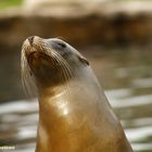 zu Besuch in der ZOOM Erlebniswelt, dem ehem. Ruhr - Zoo in Gelsenkirchen