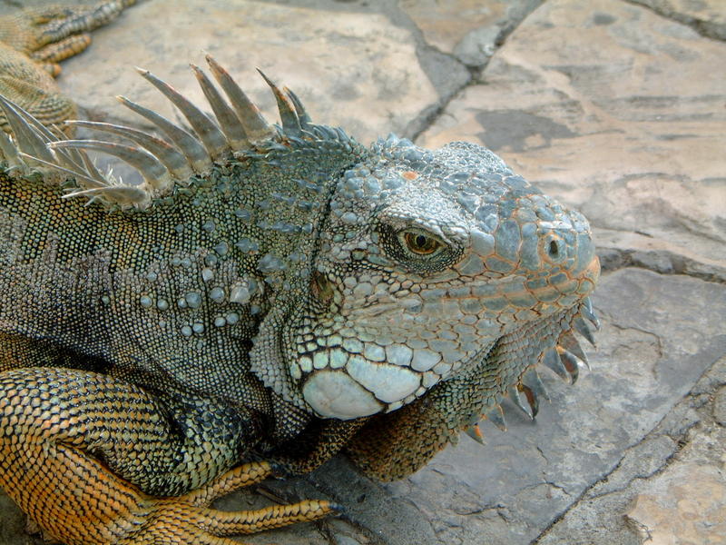 Zu Besuch in Ecuador