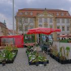 zu Besuch in Erlangen (de visita en Erlangen)