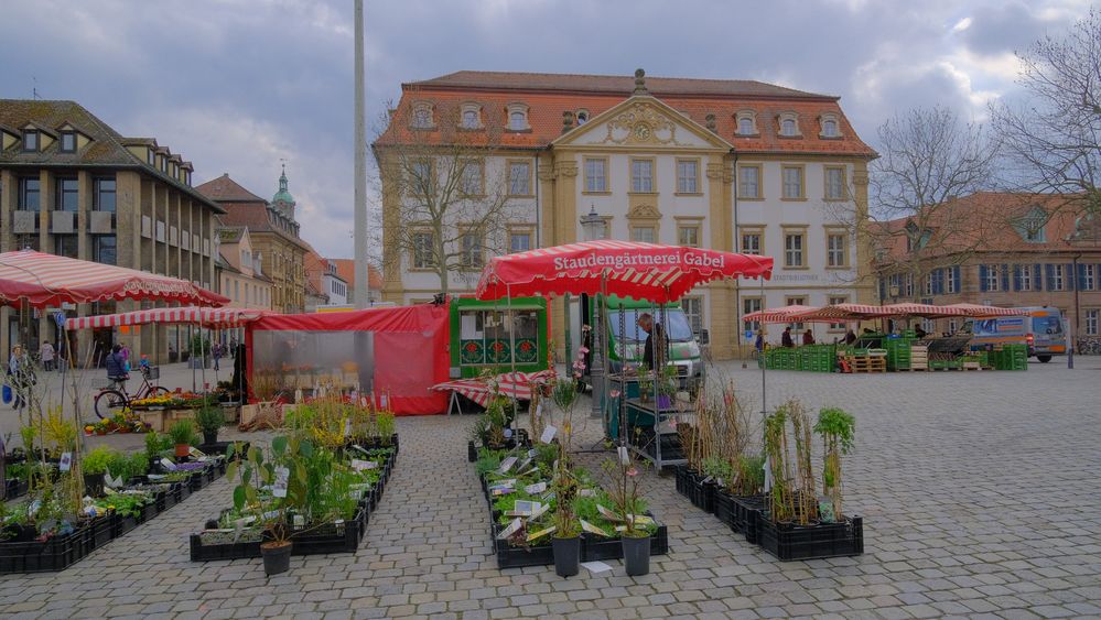 zu Besuch in Erlangen (de visita en Erlangen)