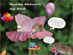 Zu deinem Geburtstag ...