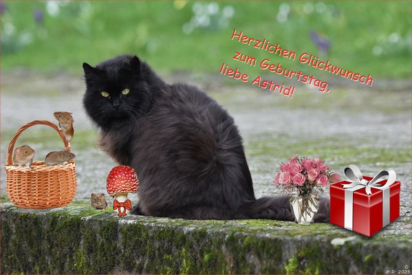 Zu deinem Geburtstag, ...