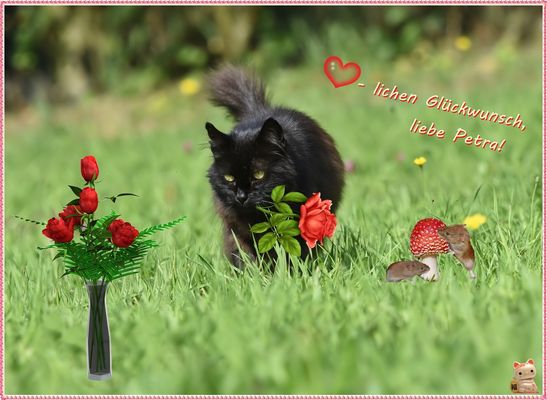 Zu deinem Geburtstag ...