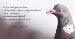 Zu dem Adler sprach die Taube