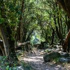 Zu den Gorges d'Héric  - Aux Gorges d'Héric