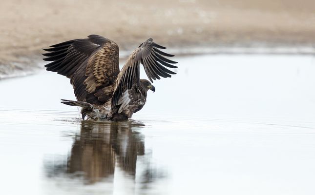 Zu den herausragenden Erlebnissen...