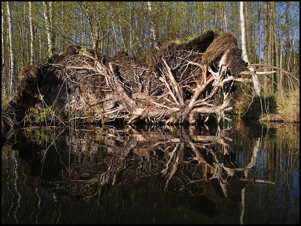 zu dicht am Wasser gebaut