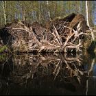 zu dicht am Wasser gebaut