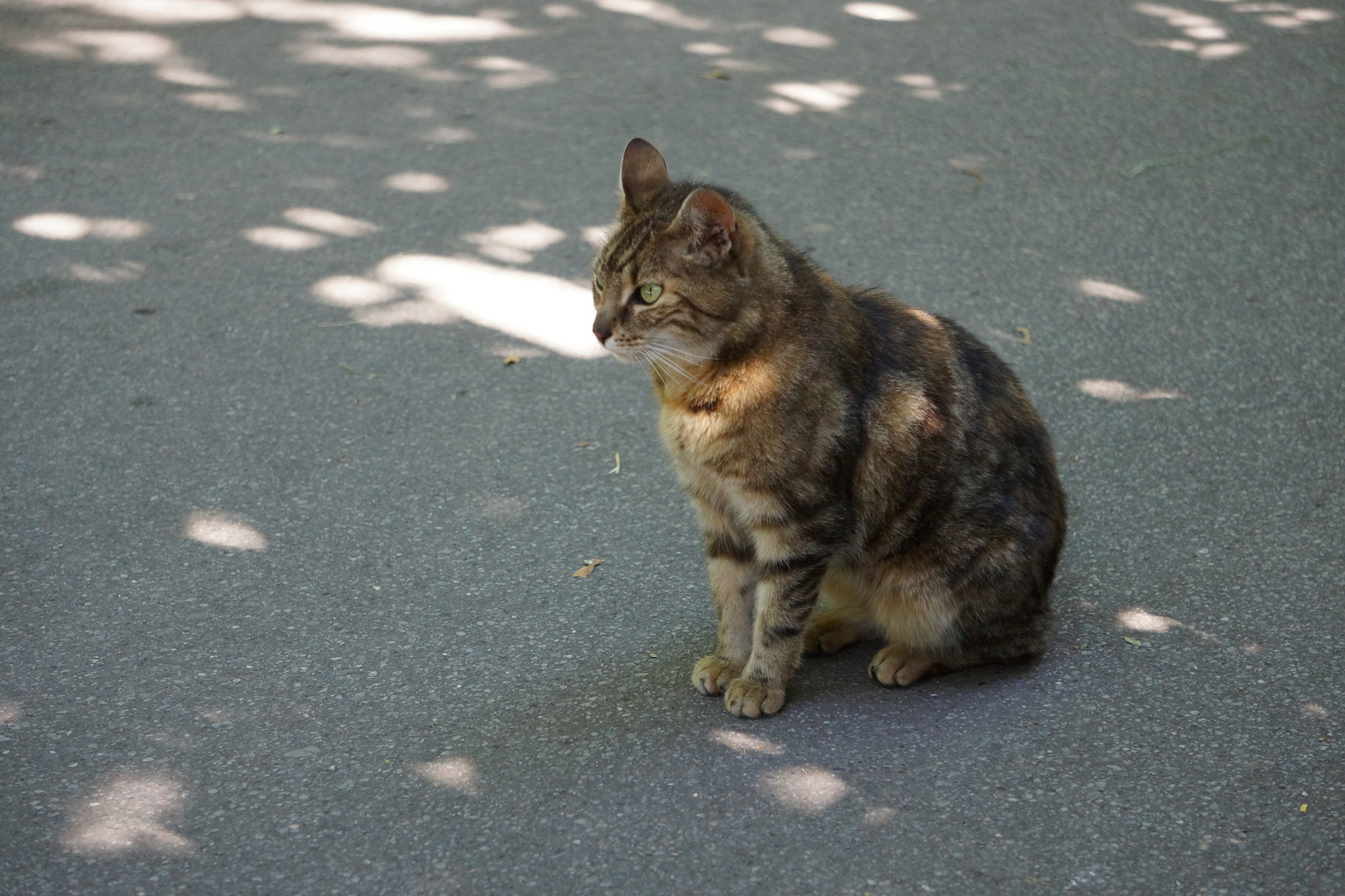 Zu einem Besuch im Zoo