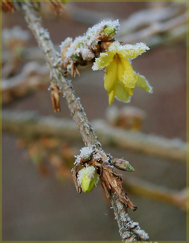 zu früh.....