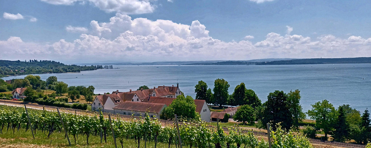 Zu Füßen der Basilika :  .  .