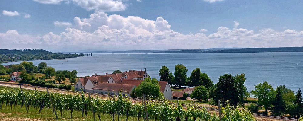 Zu Füßen der Basilika :  .  .