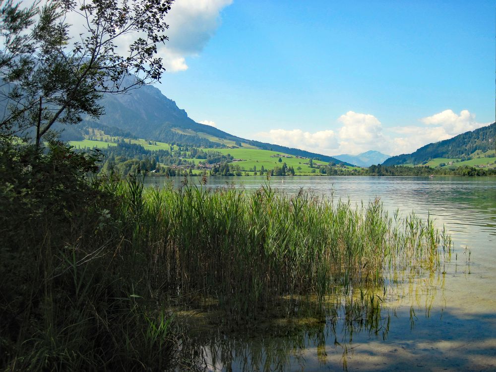 Zu Füßen des Kaisergebirges ....