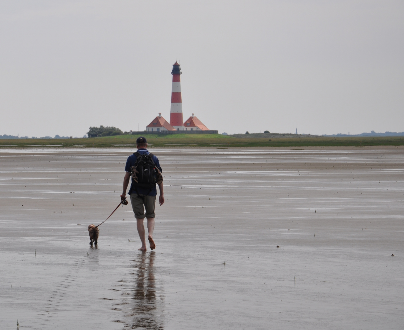 Zu Fuss durchs Watt zum Westerhever Leuchtturm