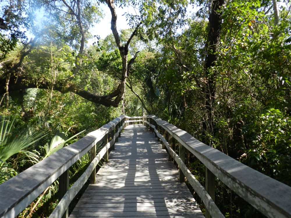 zu Fuß in den Everglades