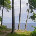 Zu Fuß unterwegs auf dem Höhenweg zum Königstuhl 