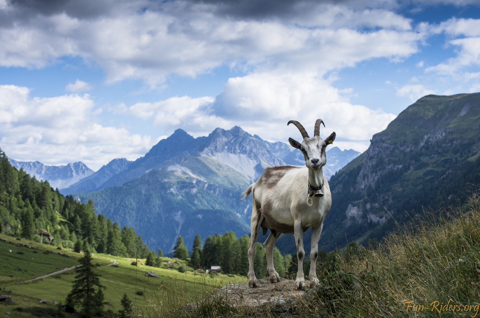 zu Gast auf der schweizerischen Alp Valmala