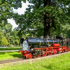 Zu Gast im Großen Garten II