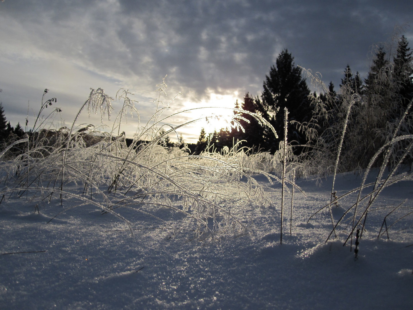 Zu Gast im Reich der Schneekönigin