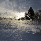 Zu Gast im Reich der Schneekönigin