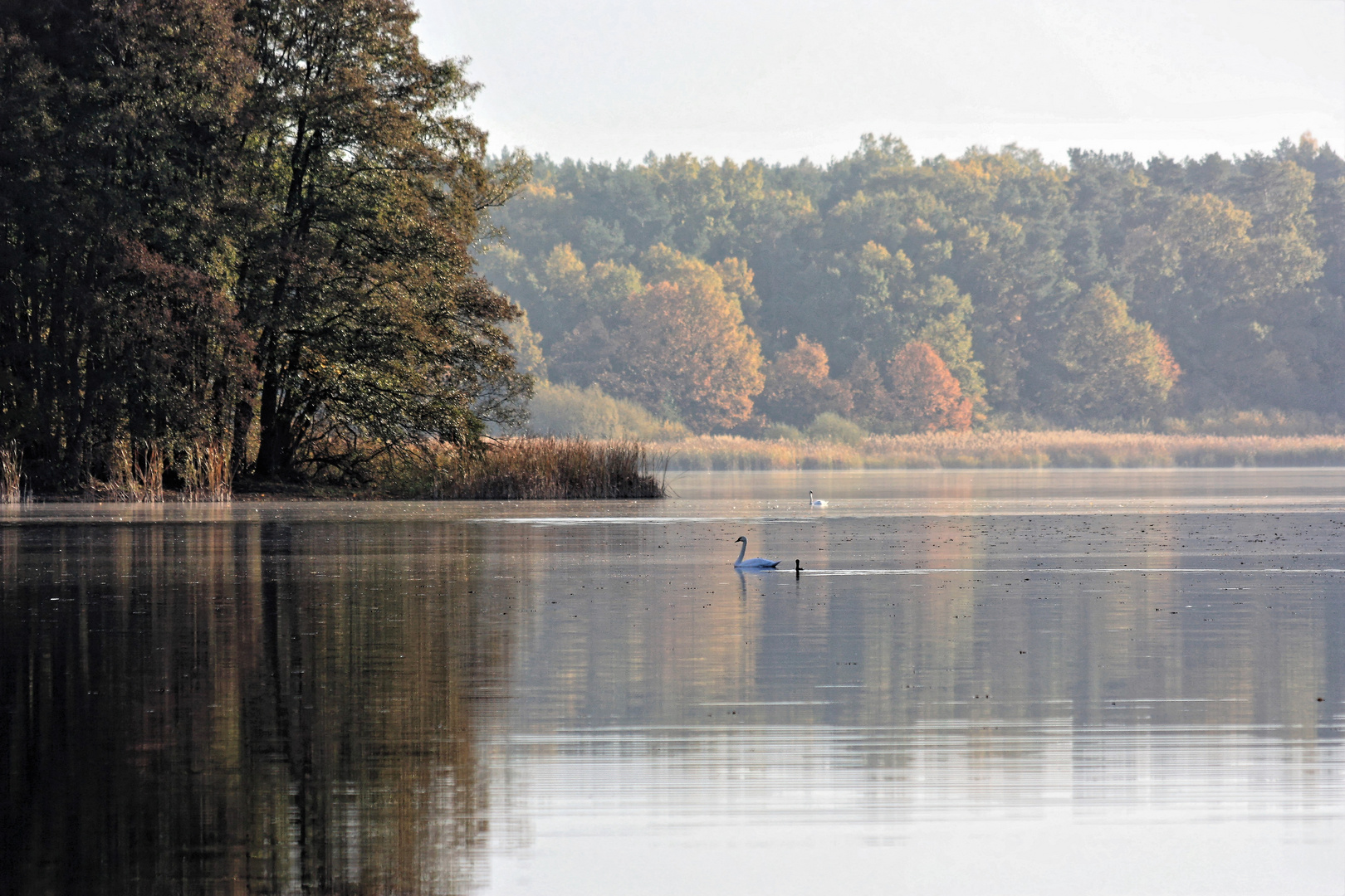 Zu Hause, am Katerbower See