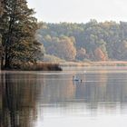 Zu Hause, am Katerbower See