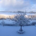 Zu Hause, Blick nach draußen