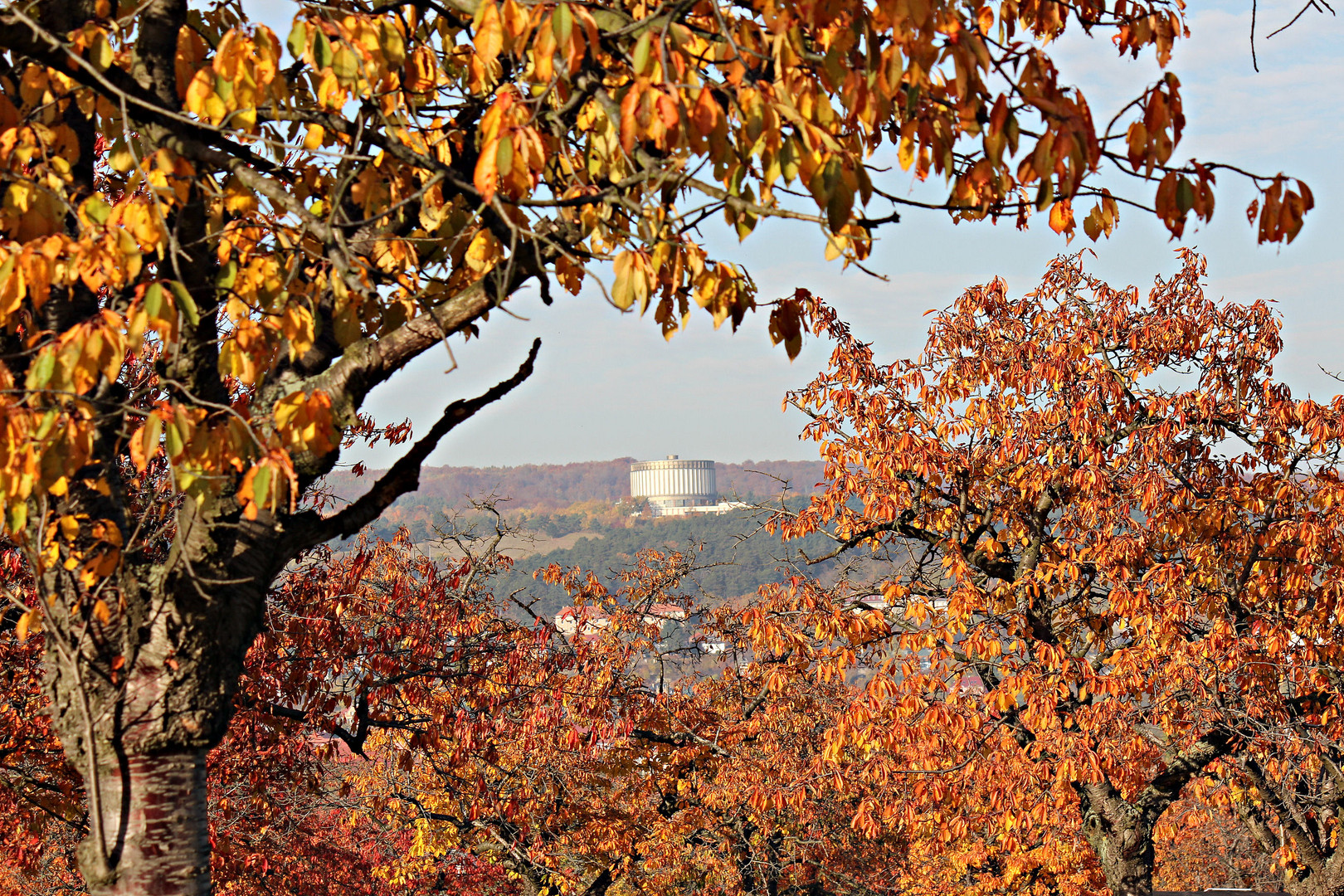 zu Hause im Herbst