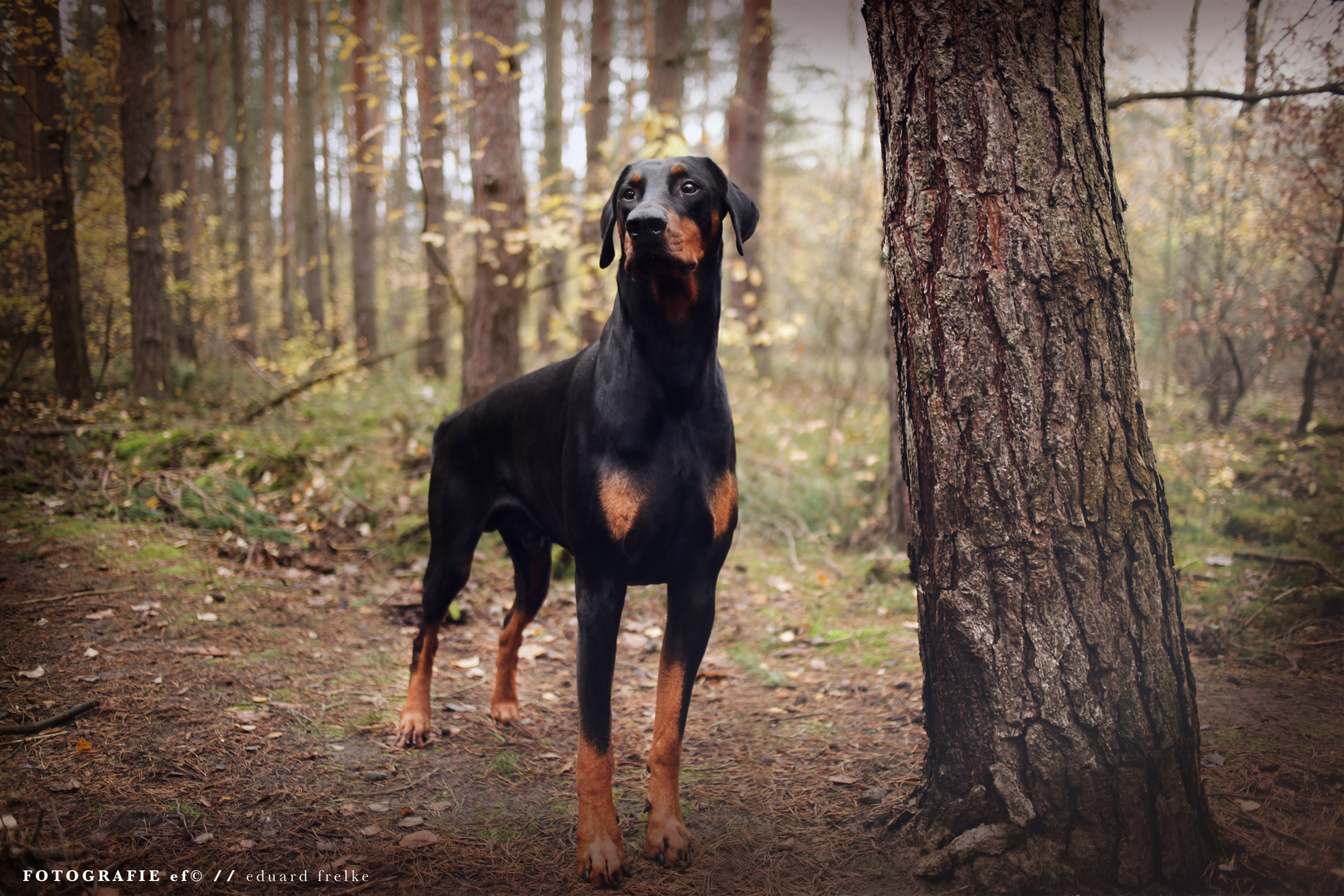 Zu Hause in der Natur