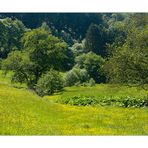 Zu Hause ist es auch sehr schön... (Idyllisches Weserbergland)