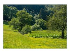 Zu Hause ist es auch sehr schön... (Idyllisches Weserbergland)