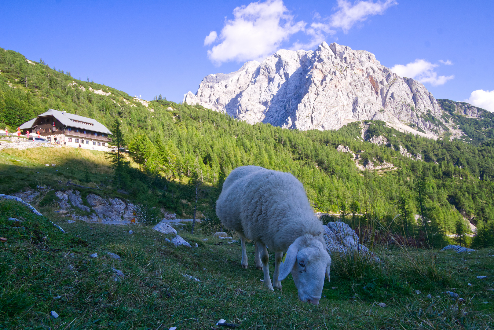 Zu Hause ist, wo die Berge sind! Foto & Bild landschaft, berge, natur