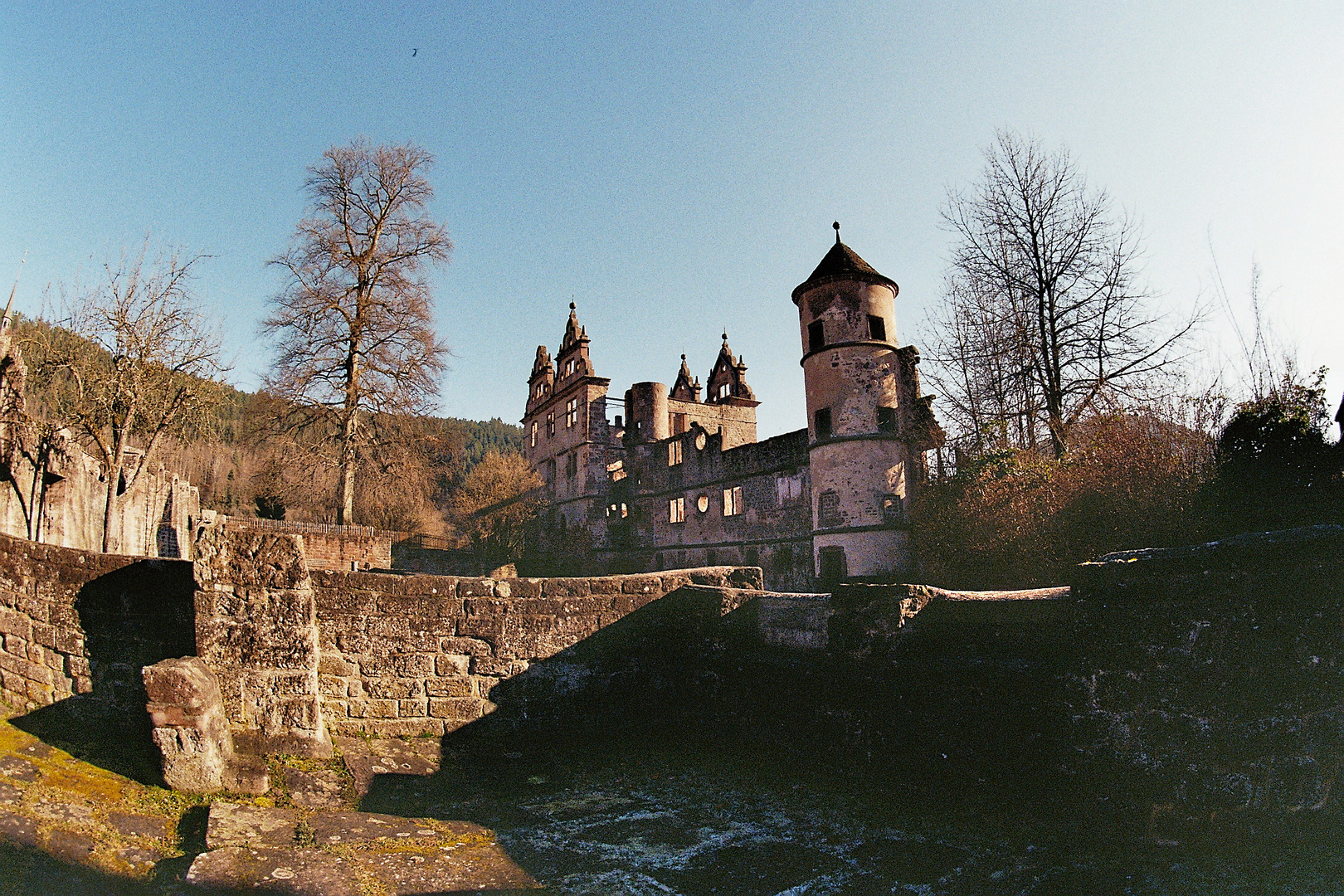 Zu Hirsau in den Trümmern (10)